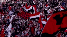 Dc United Flags GIF - Dc United Flags Fans GIFs