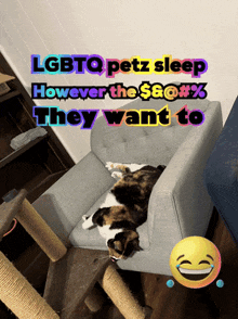 a cat is laying in a chair with the words lgbtq petz sleep however