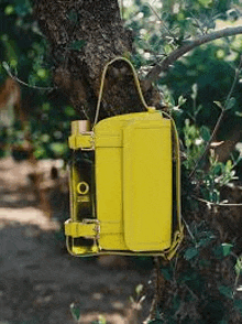 a yellow bag is hanging from a tree branch with a bottle of olive oil in it .