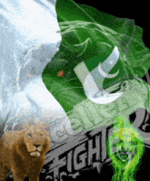 a lion stands in front of a flag that says pakistan