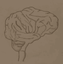 Square Brain Animated GIF - Square Brain Animated Genius GIFs