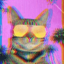 Cool Cat GIF - Cool Cat Sunglasses GIFs