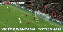 Tottenham Wanyama GIF - Tottenham Wanyama GIFs