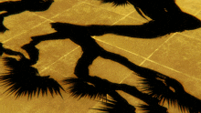 a shadow of a person on a tiled floor with the letter s on it