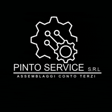Pinto Service Pintoservice GIF