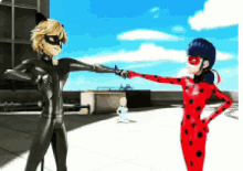Miraculous Tales Of Ladybug And Cat Noir Hero GIF - Miraculous Tales Of Ladybug And Cat Noir Hero Tandem GIFs