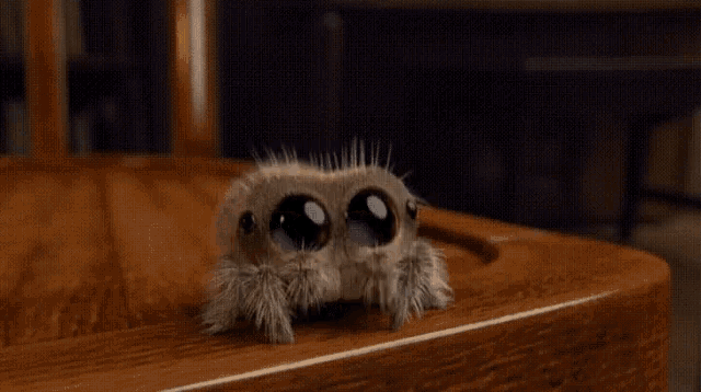 Lucas The Spider GIF - Lucas The Spider - Discover & Share GIFs