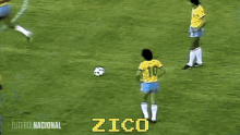 Zico Brazil GIF - Zico Brazil Scotland GIFs