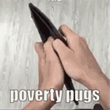 Poverty Pugs GIF - Poverty Pugs GIFs