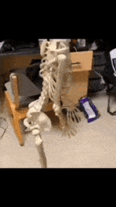 Skeleton Punch GIF - Skeleton Punch Meme GIFs