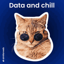 Similarweb Data GIF - Similarweb Data Data Nerds GIFs
