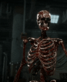 Skeleton Terminator Skeleton GIF - Skeleton Terminator Skeleton Terminator GIFs