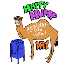 lcv happy hump day hump day wednesday camel