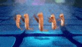 a group of squirrels are dancing in a pool of water .