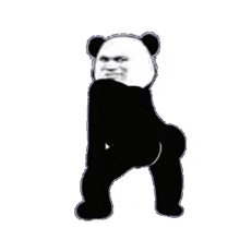 twerking panda