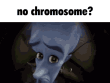 No Chromosome Stupid GIF - No Chromosome Stupid Idiot GIFs