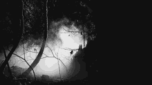 dark forest night creepy nightmare horror