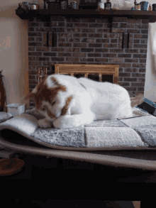 Cat Chomp Spazz GIF - Cat Chomp Spazz Cat With Toy GIFs