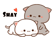 shay love shay love