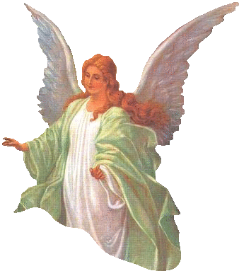 Angel Wings Sticker - Angel Wings Holy Stickers