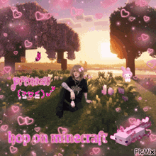 a picture of a girl sitting in a field with the words hop on minecraft