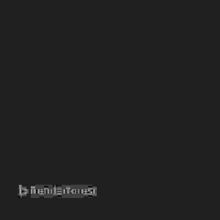 a bunch of colorful balloons on a black background with a watermark that says trendstimes