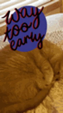 Way Too Early Tired GIF - Way Too Early Tired Cat GIFs