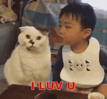 I Luv U Pull GIF - Grumpy Cat Kucing Galak Cium GIFs