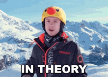 In Theory Mrroflwaffles GIF - In Theory Mrroflwaffles Technically GIFs