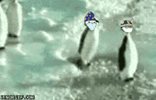 Penguin Slap GIF - Penguin Slap GIFs