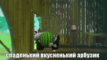 арбуз крот панда мультик GIF - Watermelon Panda Animals GIFs