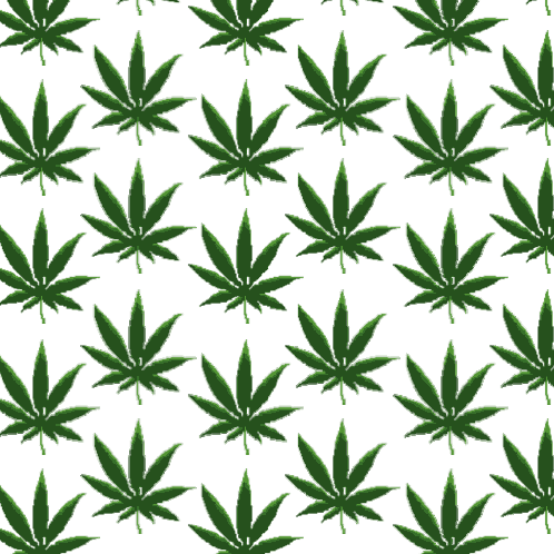 Cannabis Weed Sticker - Cannabis Weed Thc Stickers
