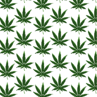 Cannabis Weed Sticker - Cannabis Weed Thc Stickers