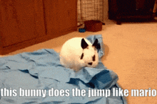 Jump Like Mario Bunny GIF - Jump Like Mario Bunny Bnuuy GIFs