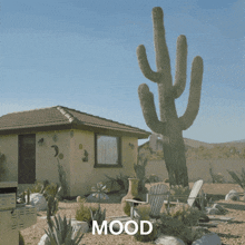 a house with a cactus in front of it and the word mood underneath it