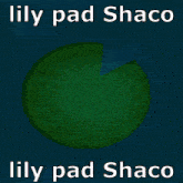 a picture of a cartoon character with the words lily pad shaco