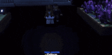 a screenshot of a video game with the name zelnus on it