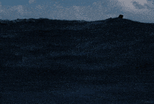 a picture of a man in the ocean with the caption kepler