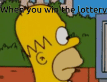 Excited When You Win The Lottery GIF - Excited When You Win The Lottery Homer Simpson GIFs
