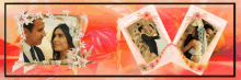 a picture of a bride and groom is surrounded by other pictures