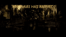 King Mule Mule GIF - King Mule Mule GIFs