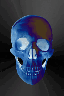 Skull Blue GIF - Skull Blue Cranium GIFs