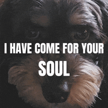 Ihavecomeforyoursoul Your Soul Is Mine GIF - Ihavecomeforyoursoul Soul You GIFs