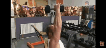 Seated Dumbbell Overhead Triceps Extension GIF