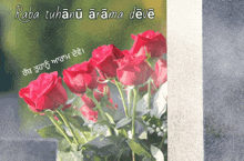 a bouquet of red roses in a vase with the words " raba tuhanu arama deve " on the bottom