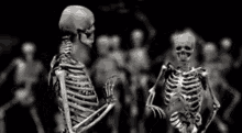 Dance Party GIF - Dance Party Skeletons GIFs