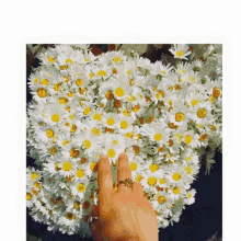 Flowers Bouquet GIF - Flowers Bouquet Give GIFs