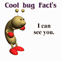 bugs bug bug facts i can see you i see you