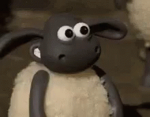 sheep-excellent.gif