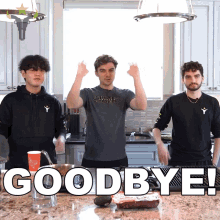 Goodbye Jake GIF